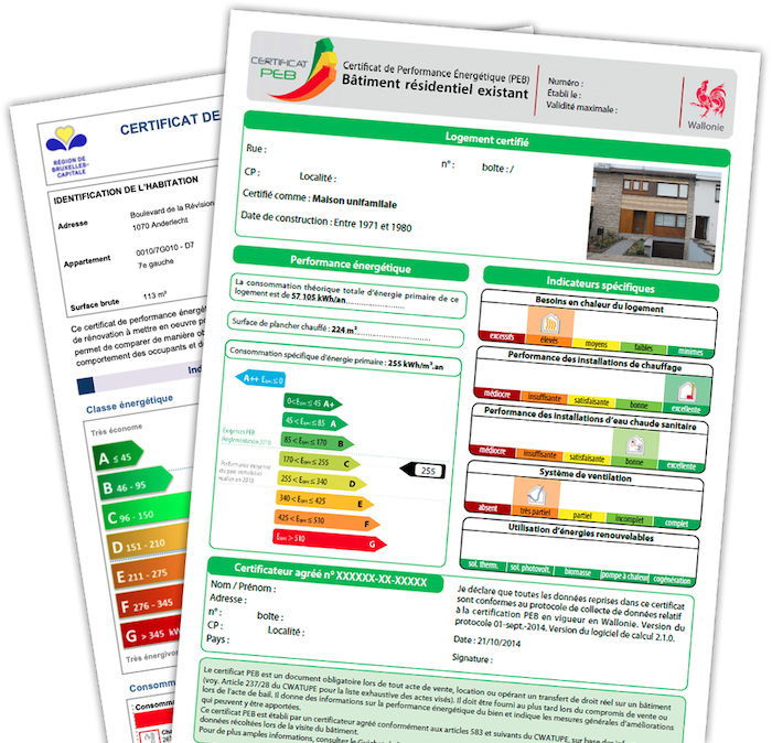 Audit Logement ImmoPass - Feuille de route